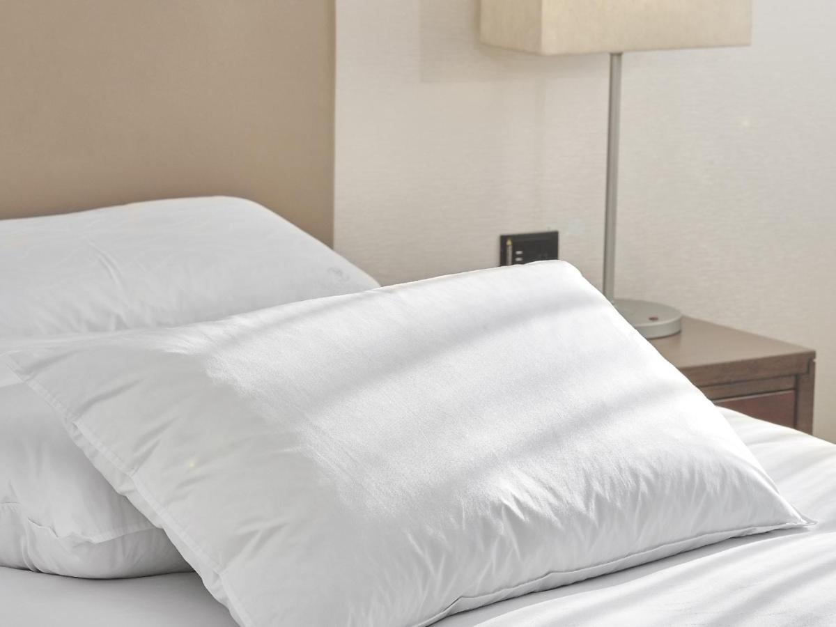 Windsor Hotel Taichung Extérieur photo A pillow